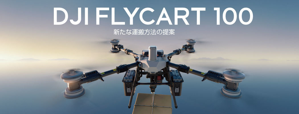 DJI Fly Cart 1000