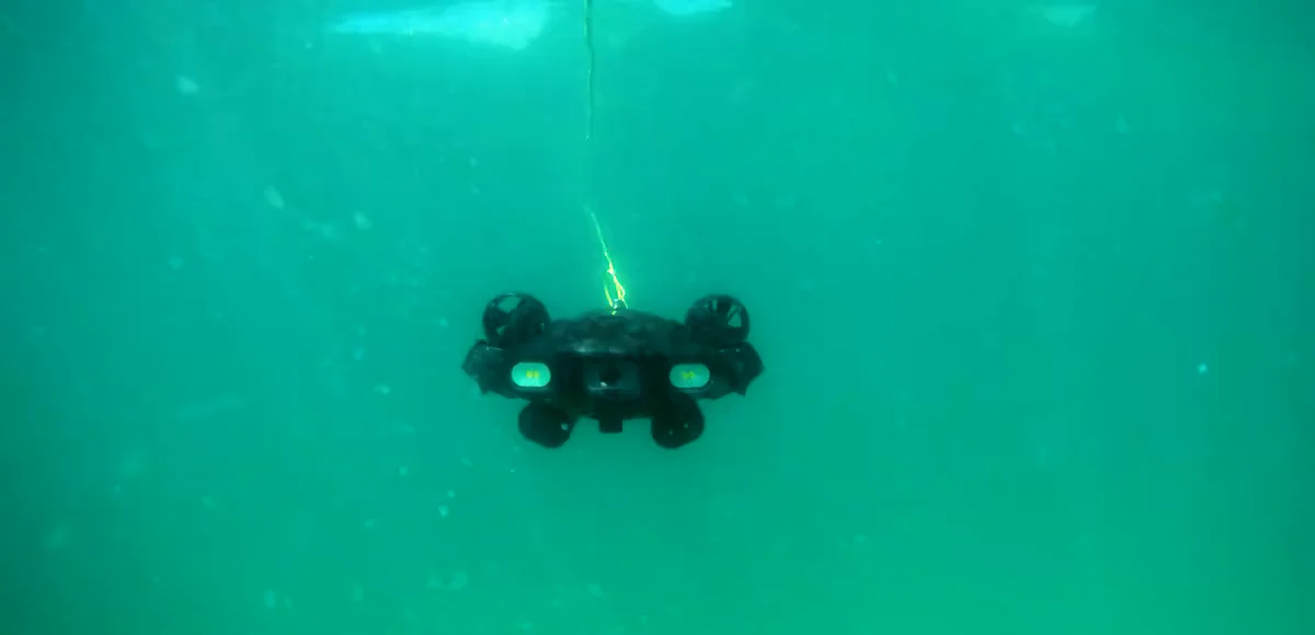 FIFISH E-GO 定点観察